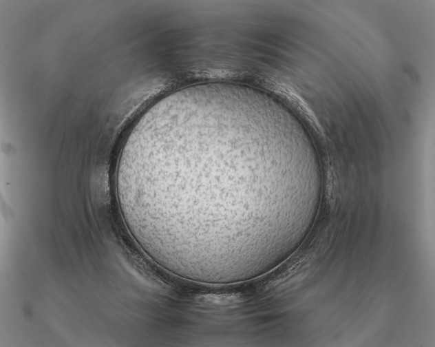 X0000090600251200708071149