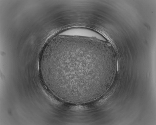 X0000090600253200708071149