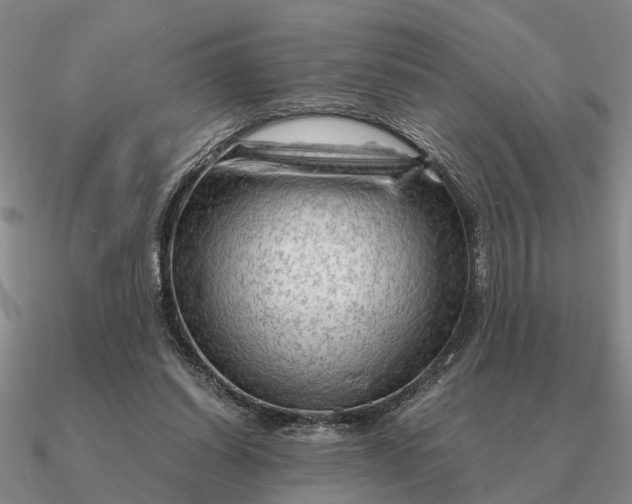 X0000090600254200708071149