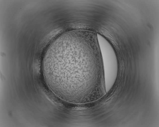 X0000090600255200708071149