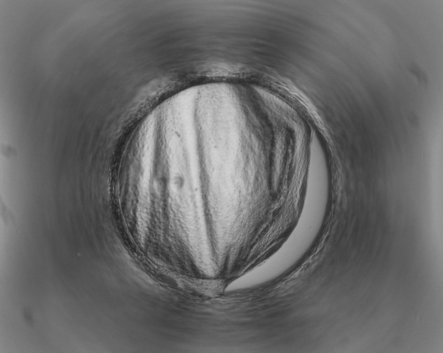 X0000090600257200708071149