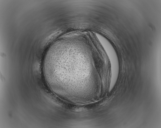 X0000090600258200708071149