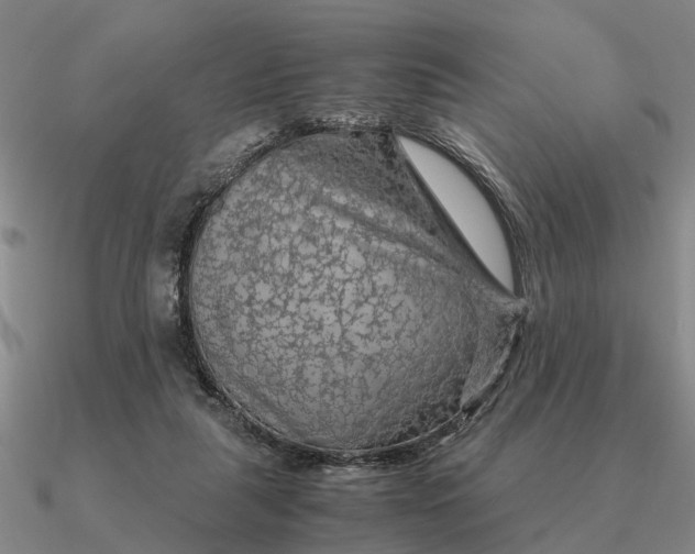 X0000090600259200708071149