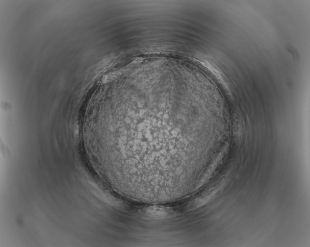 X0000090600261200708071149