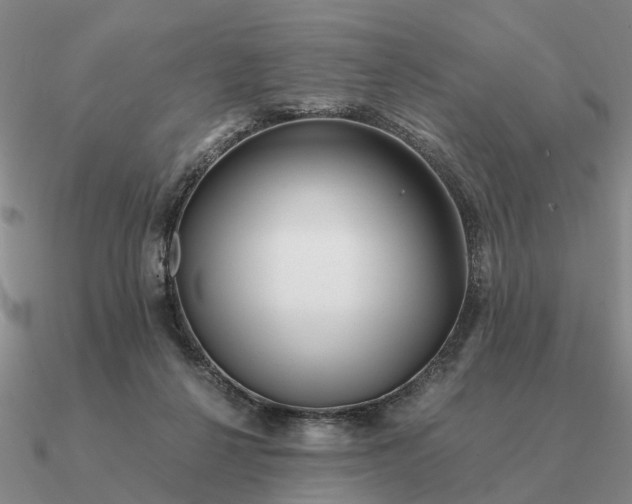 X0000090600264200708071149