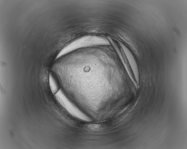 X0000090600265200708071149