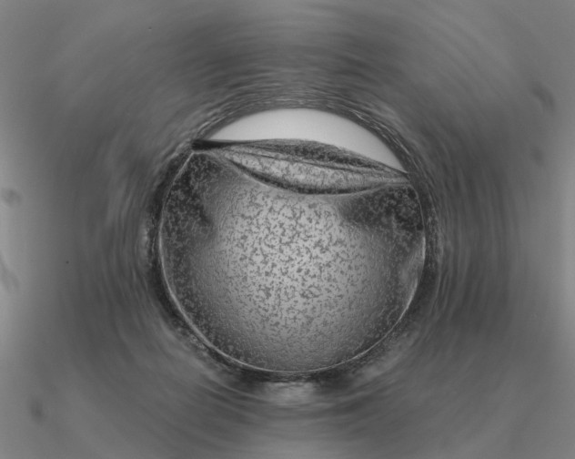 X0000090600266200708071149