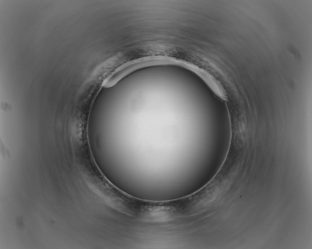 X0000090600268200708071149