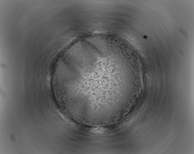 X0000090600269200708071149