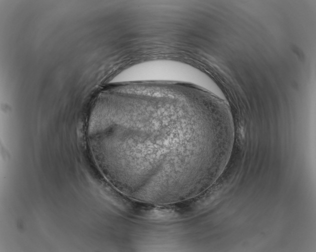 X0000090600270200708071149