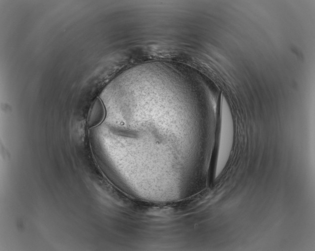 X0000090600271200708071149