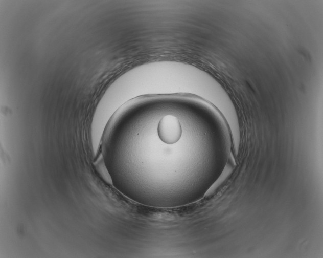 X0000090600272200708071149