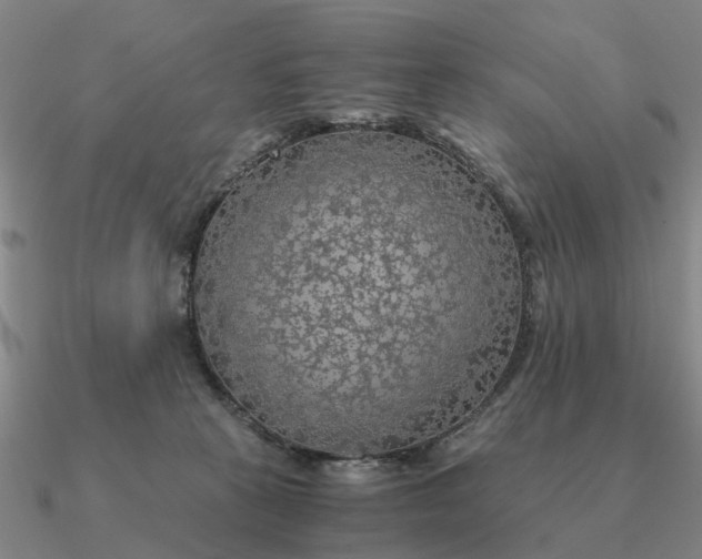 X0000090600273200708071149