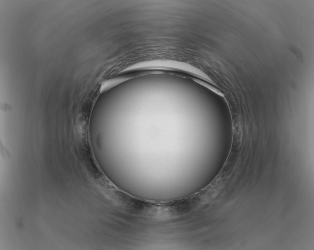 X0000090600276200708071149