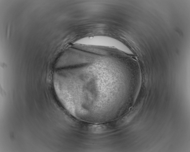 X0000090600277200708071149