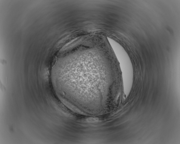 X0000090600279200708071149