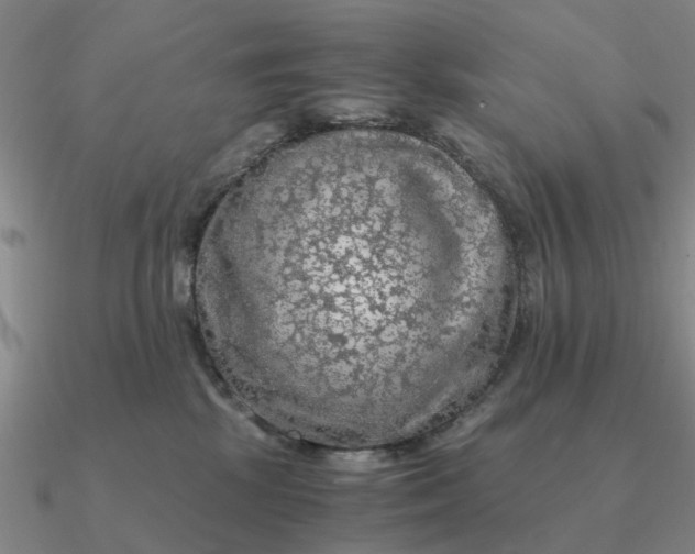 X0000090600281200708071149