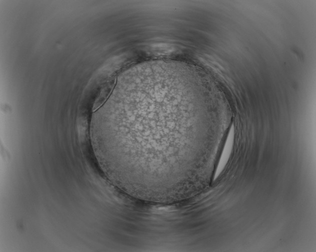 X0000090600283200708071149