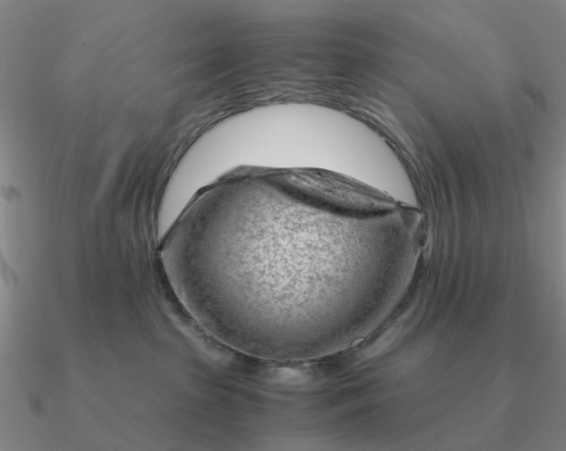 X0000090600285200708071149