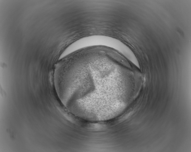 X0000090600286200708071149