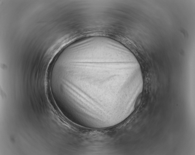 X0000090600290200708071148