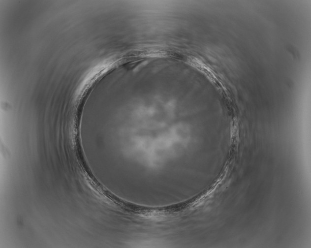 X0000090600293200708071148