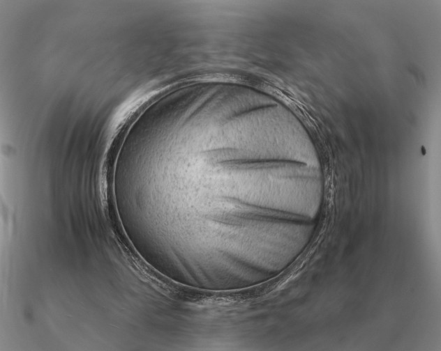 X0000090600294200708071148