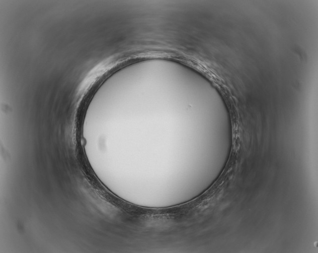 X0000090600296200708071148