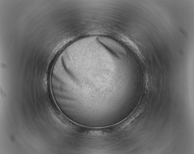 X0000090600298200708071148