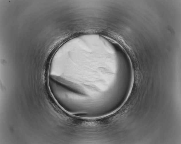 X0000090600299200708071148