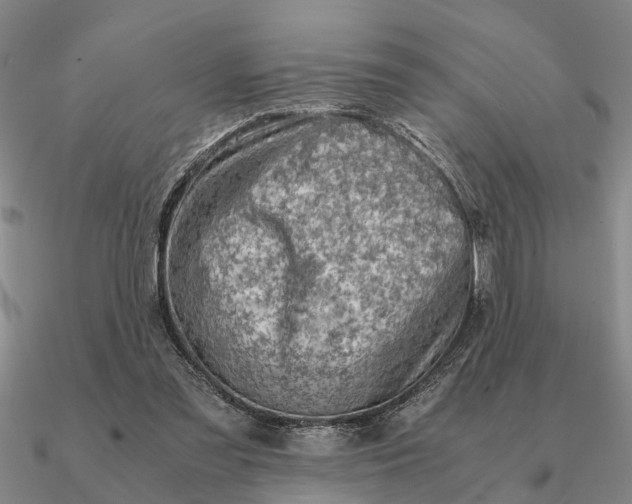 X0000090600301200708071148