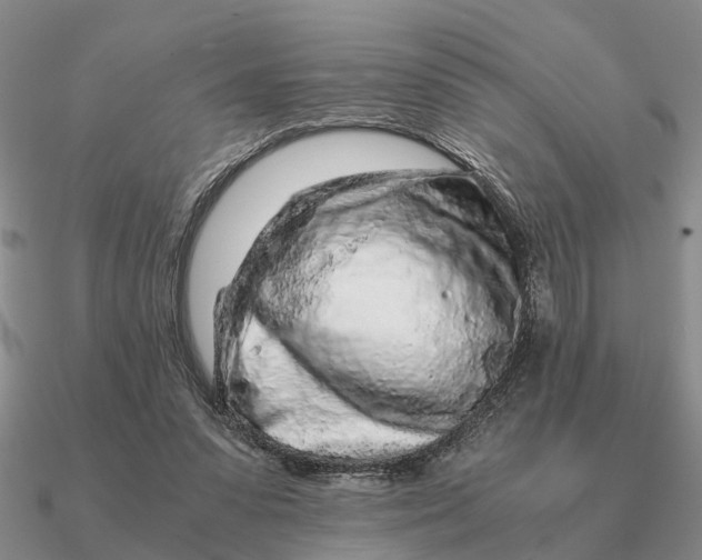 X0000090600303200708071148