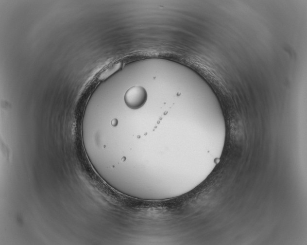 X0000090600304200708071148