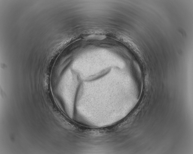 X0000090600305200708071148