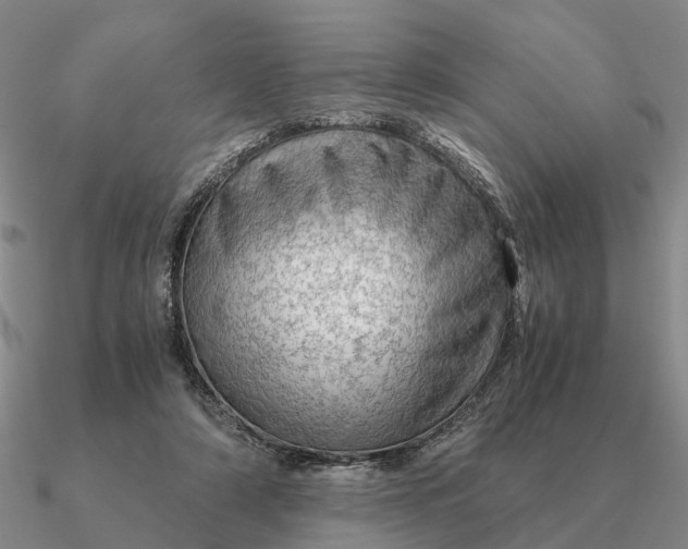 X0000090600306200708071148