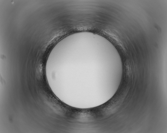 X0000090600308200708071148