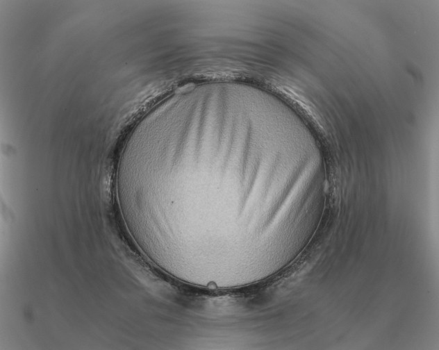 X0000090600309200708071148