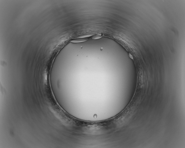 X0000090600310200708071148