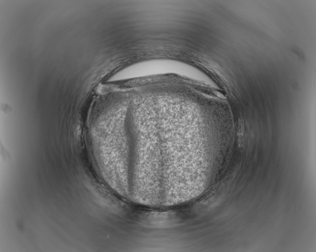 X0000090600314200708071148