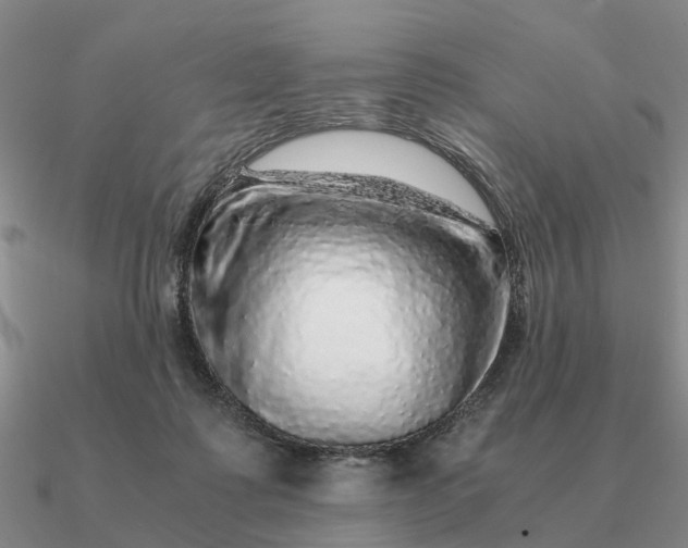 X0000090600315200708071148