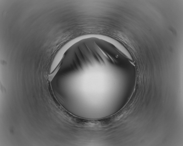 X0000090600317200708071148