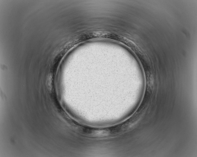 X0000090600319200708071148