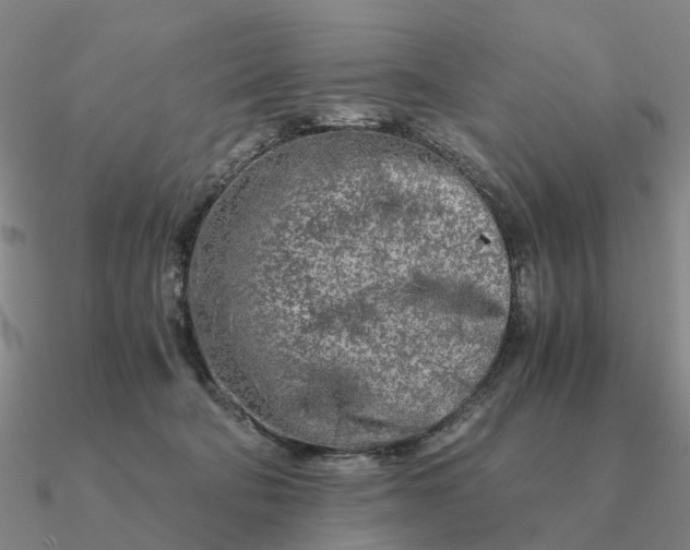 X0000090600322200708071148