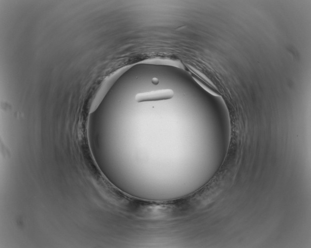 X0000090600323200708071148