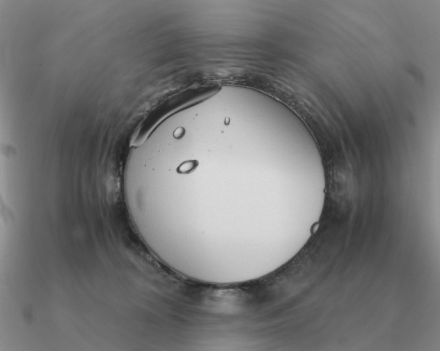 X0000090600324200708071148