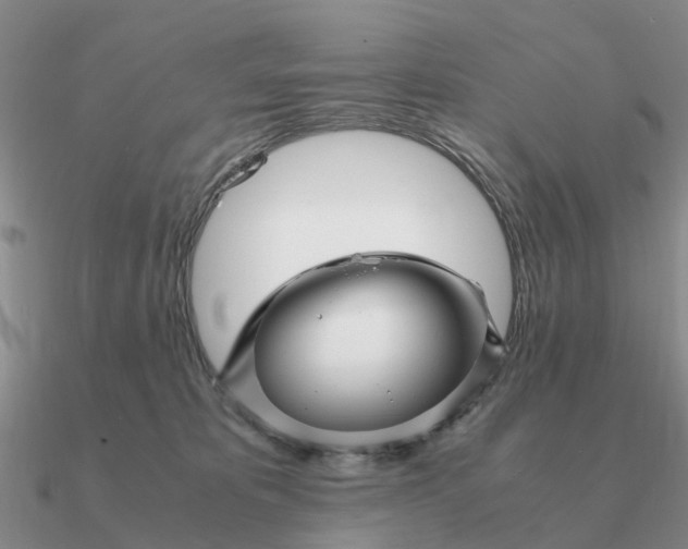 X0000090600325200708071148