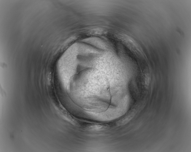 X0000090600326200708071148