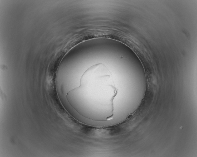 X0000090600327200708071148