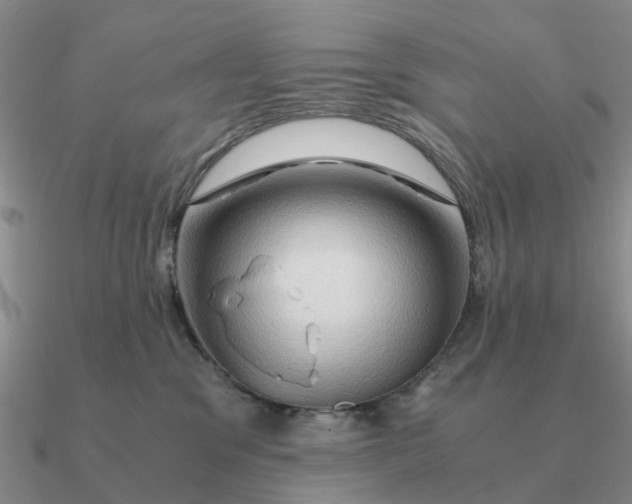 X0000090600329200708071148