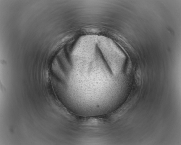 X0000090600330200708071148